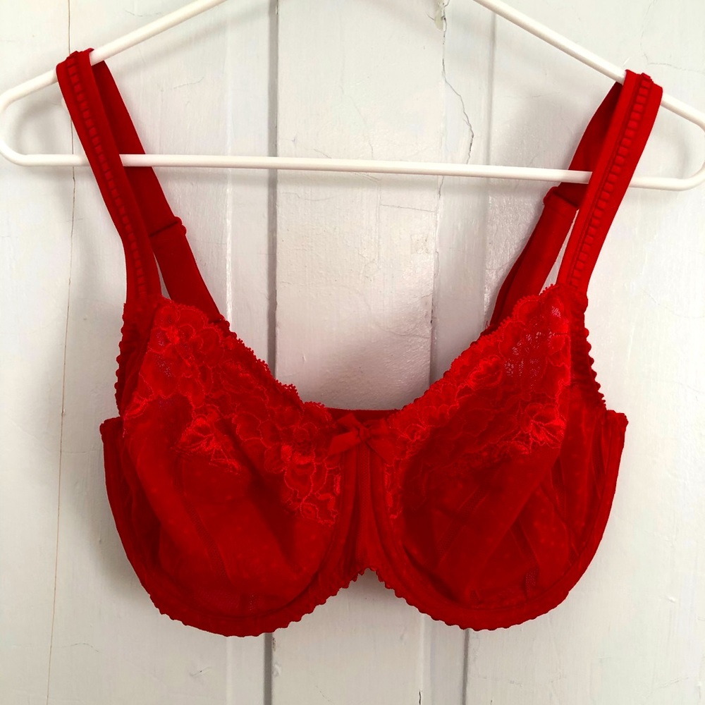 Prima Donna Bra size 34G (UK)